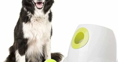 Warum Hundespielzeug für Wurfmaschinen ein Muss ist: Ein Plädoyer für mehr Bewegung und Spaß für unsere vierbeinigen Freunde