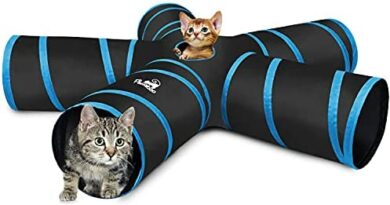 Warum jeder Katzenfreund einen Katzenrascheltunnel haben sollte: Diese 5 Produkte werden Sie überzeugen
