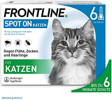 Katzenflohmittel: Tipps und Empfehlungen für eine effektive Flohbekämpfung bei Katzen